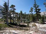 Lake Tahoe 10 : Vermont Canoe Spring